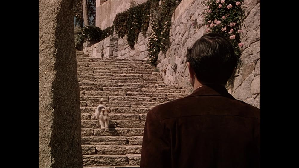 パンドラの画像