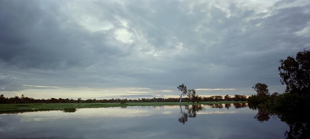 「バラカ」の画像