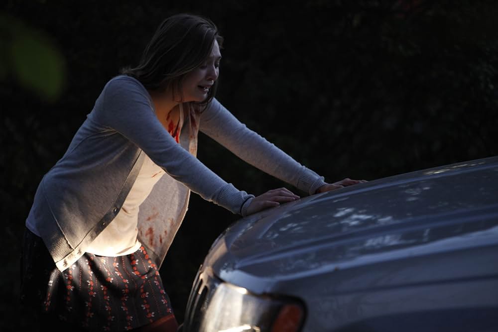 サイレント・ハウスの画像