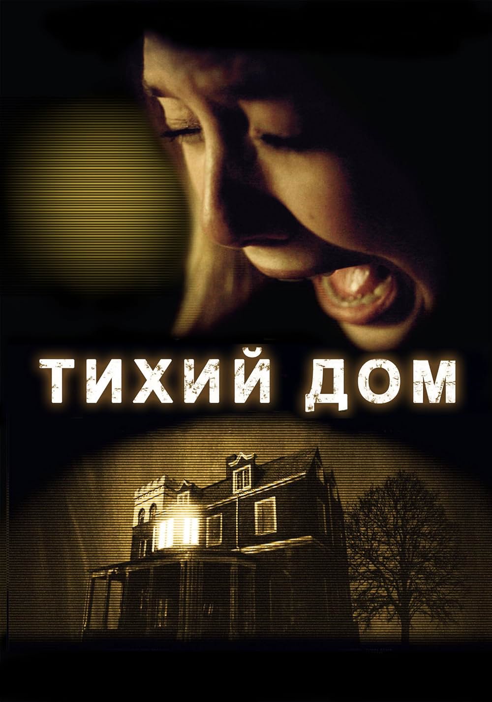 サイレント・ハウスの画像