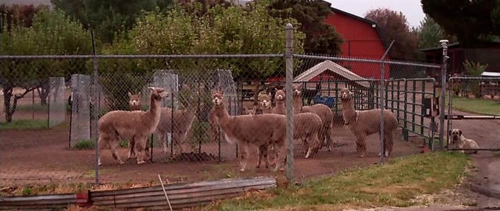 キャビン・イン・ザ・ウッズの画像