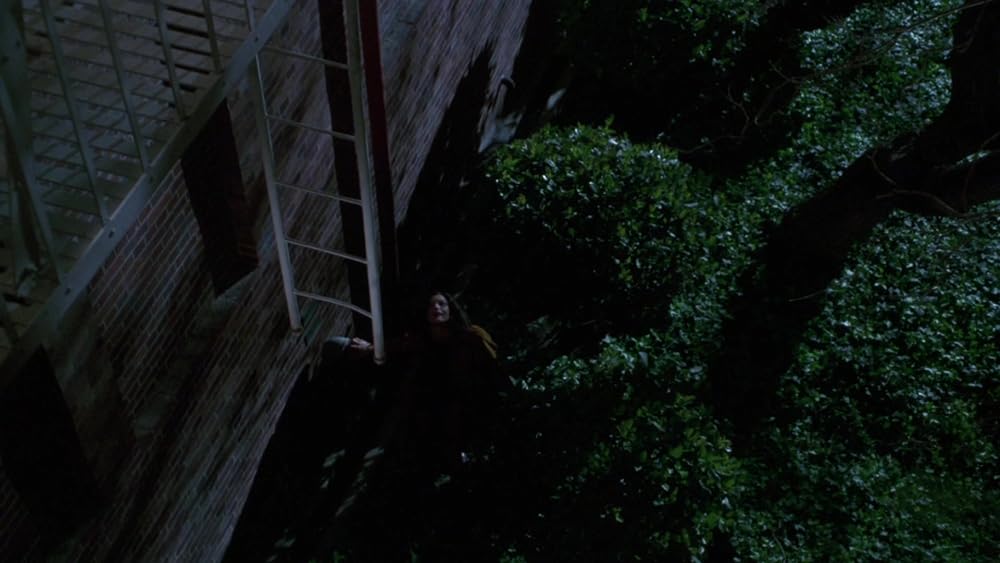 秘密の絆の画像