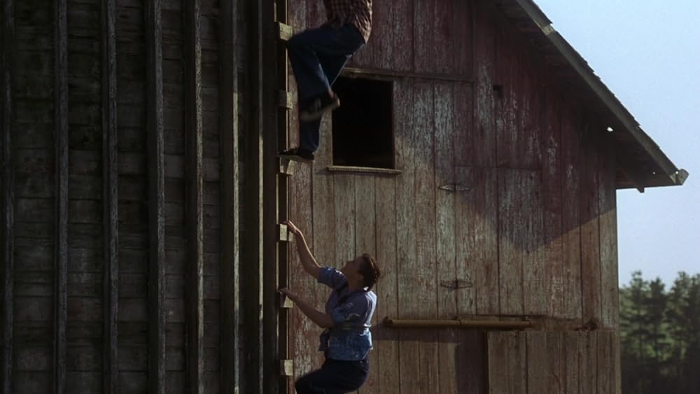 秘密の絆の画像