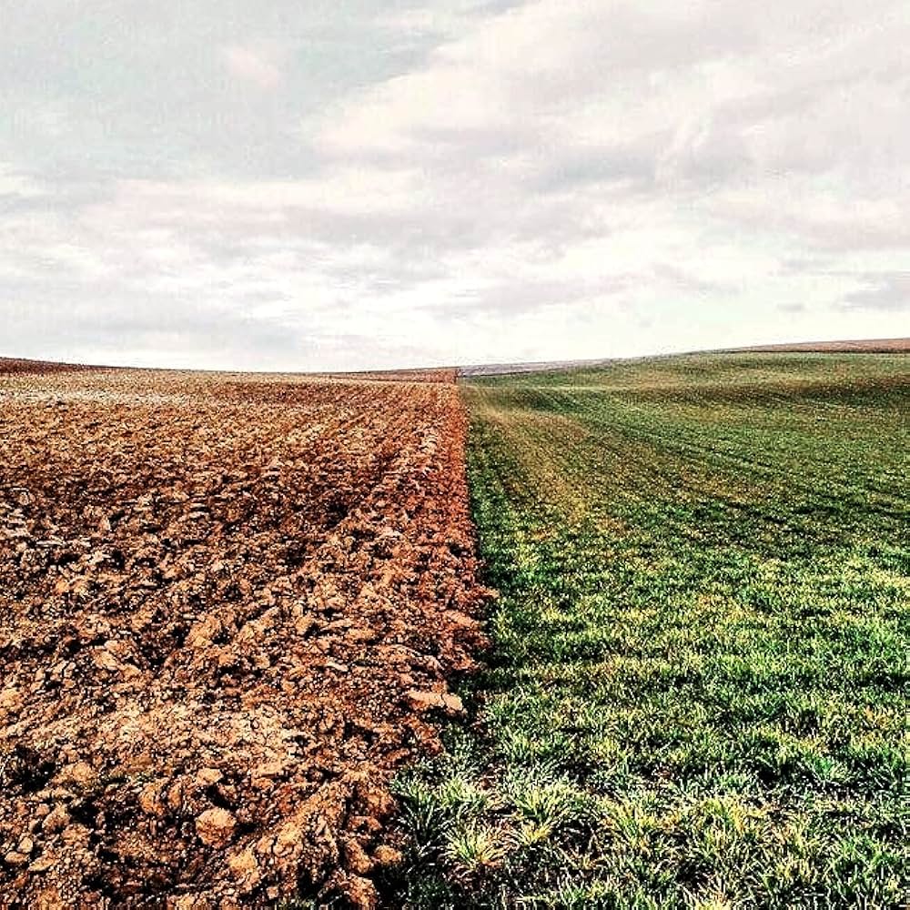 キス・ザ・グラウンド: 大地が救う地球の未来の画像