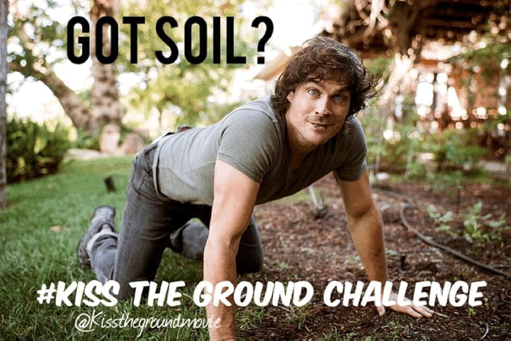 キス・ザ・グラウンド: 大地が救う地球の未来の画像