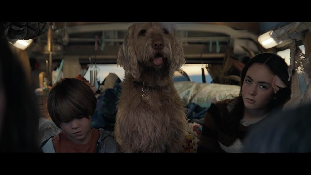 ヴェノム：ザ・ラストダンスの画像