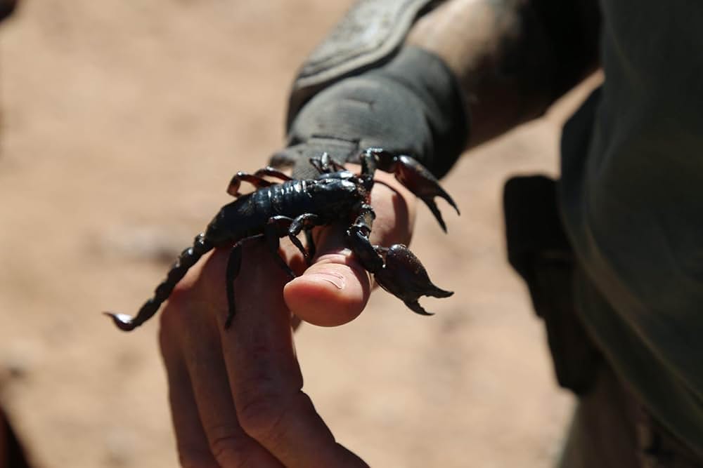 Bloodthirst（原題）の画像