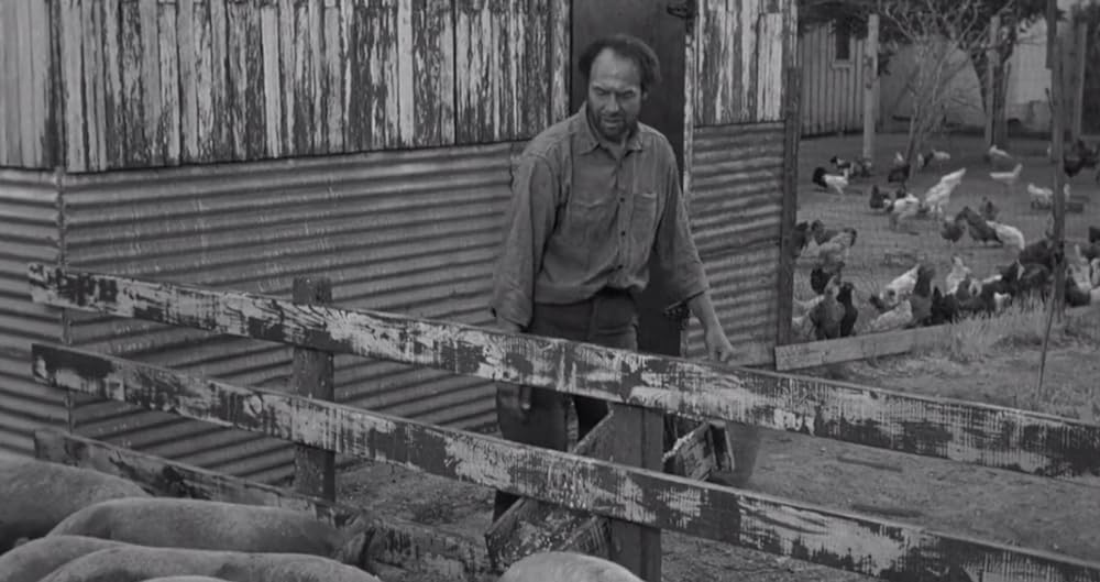 血だらけの惨劇の画像