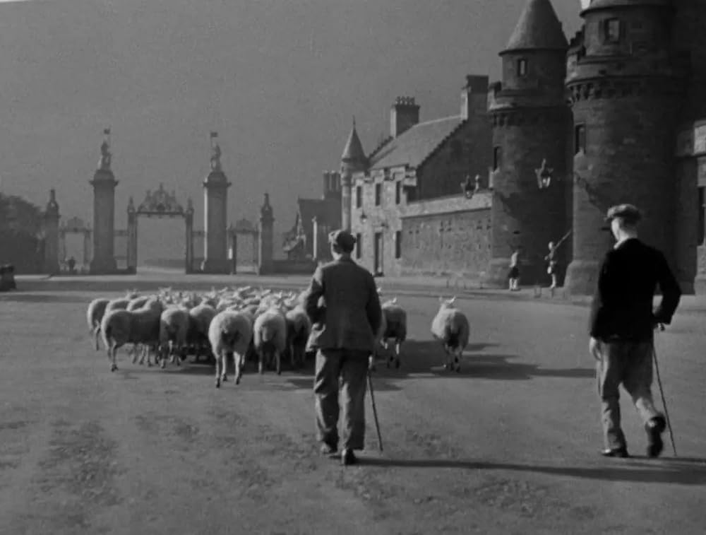 死体を売る男の画像