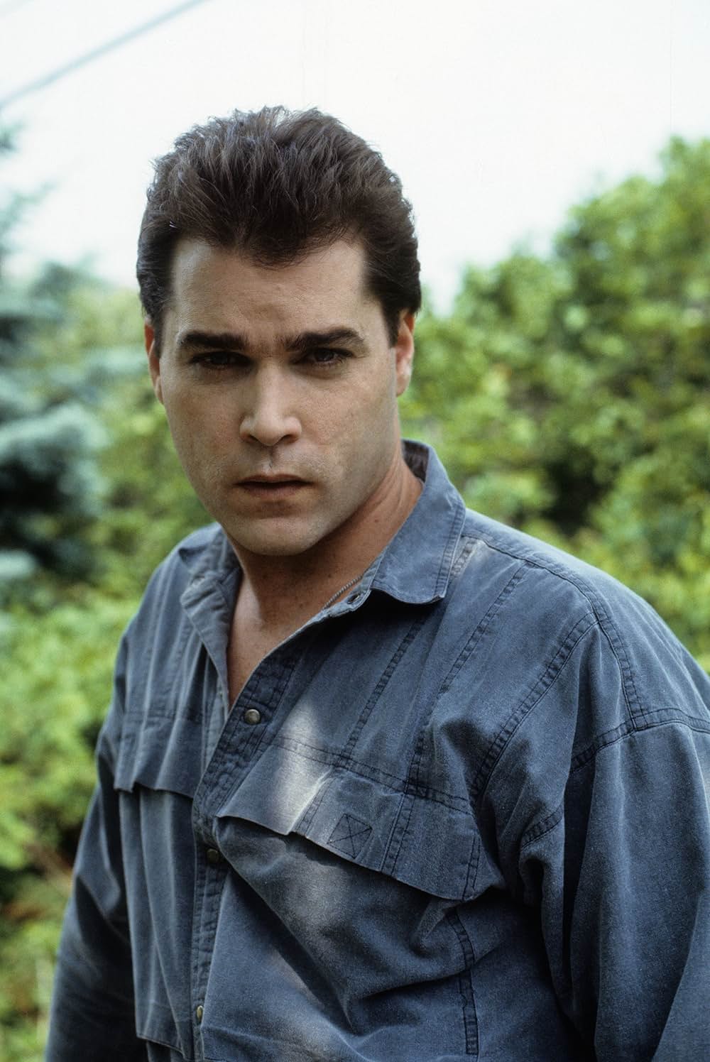 ニッキーとジーノの画像