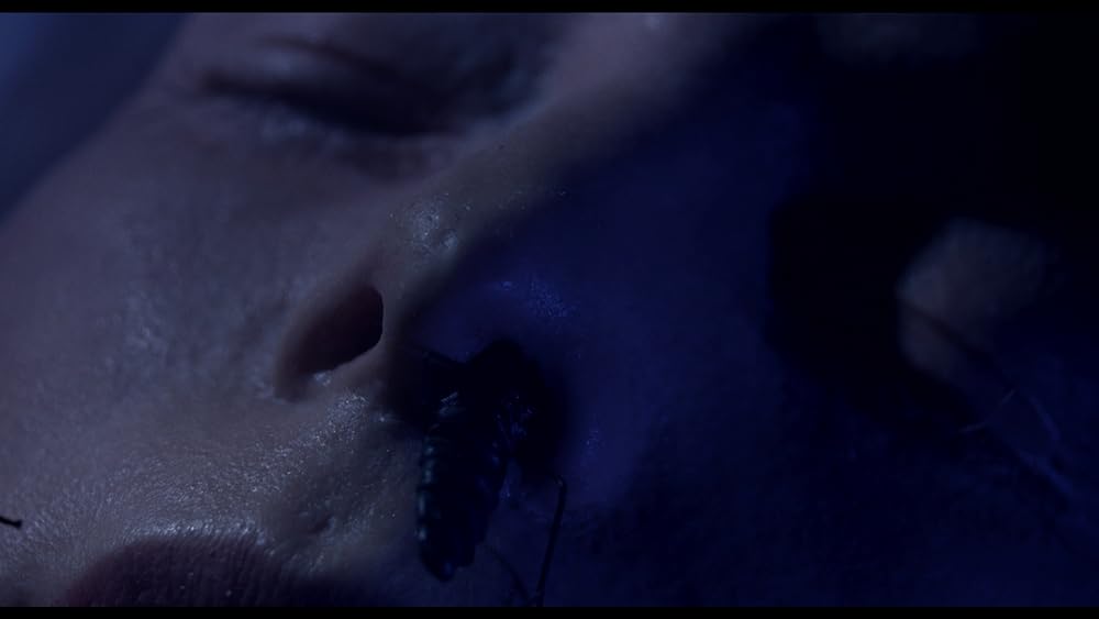 デモンズ4の画像