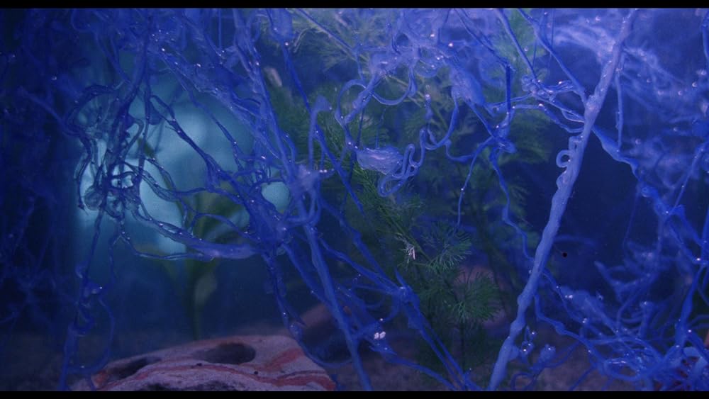 デモンズ4の画像