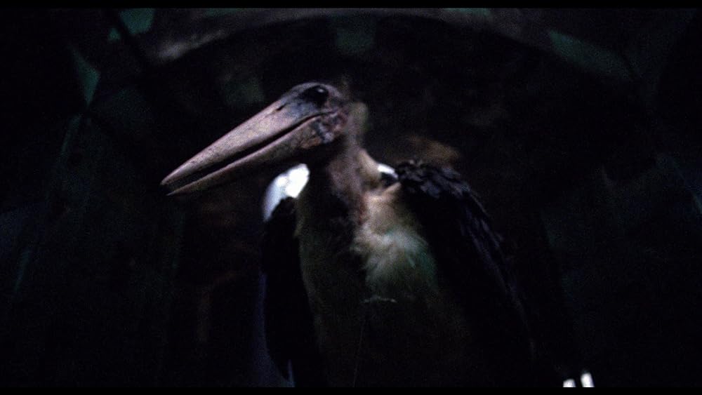 デモンズ4の画像