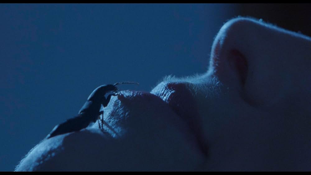 デモンズ4の画像