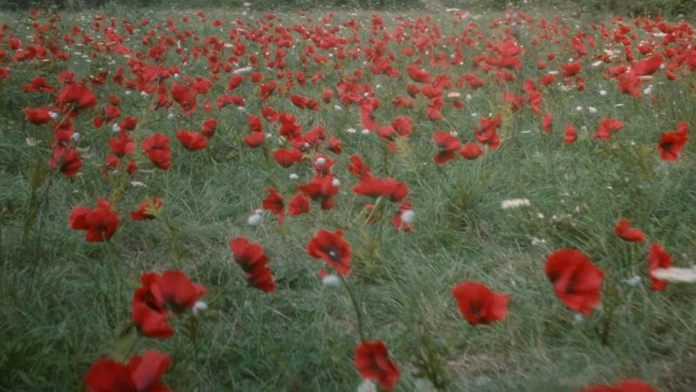 デモンズ4の画像