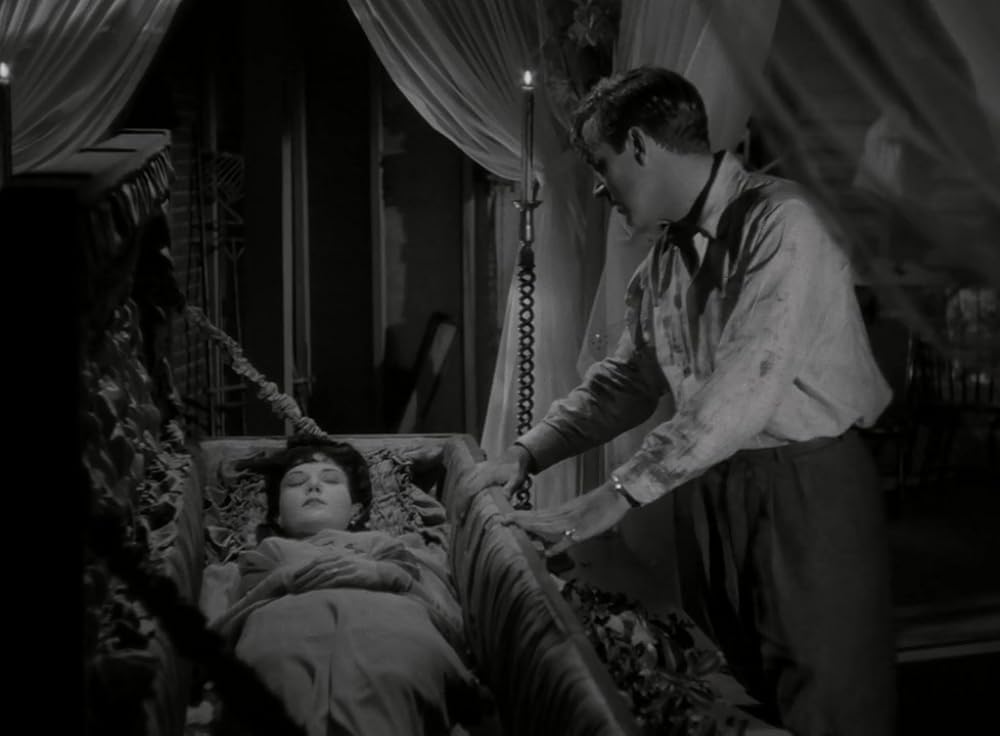 夜の悪魔の画像