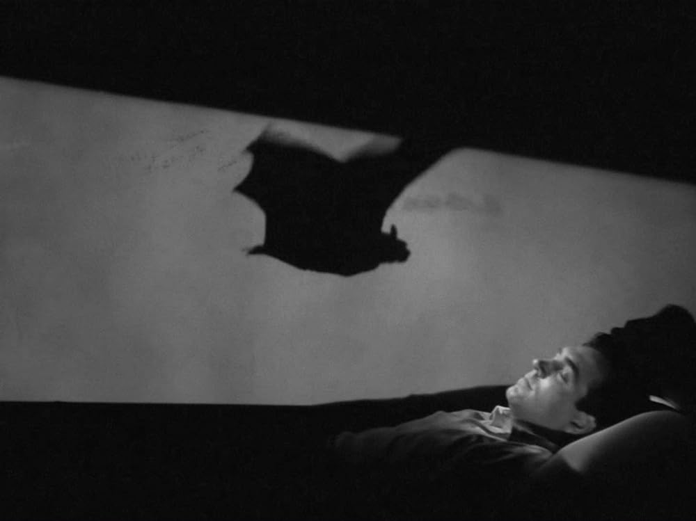 夜の悪魔の画像