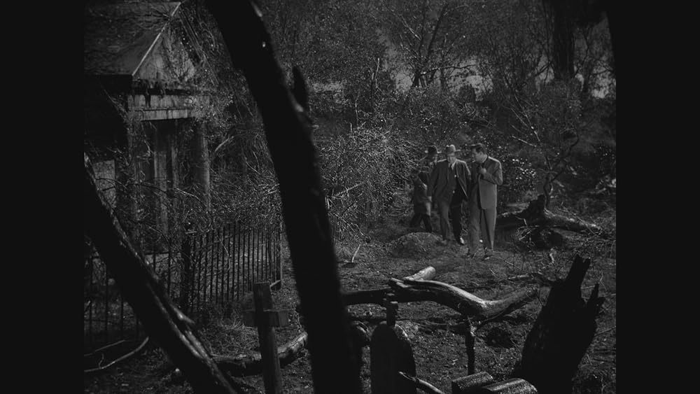 夜の悪魔の画像