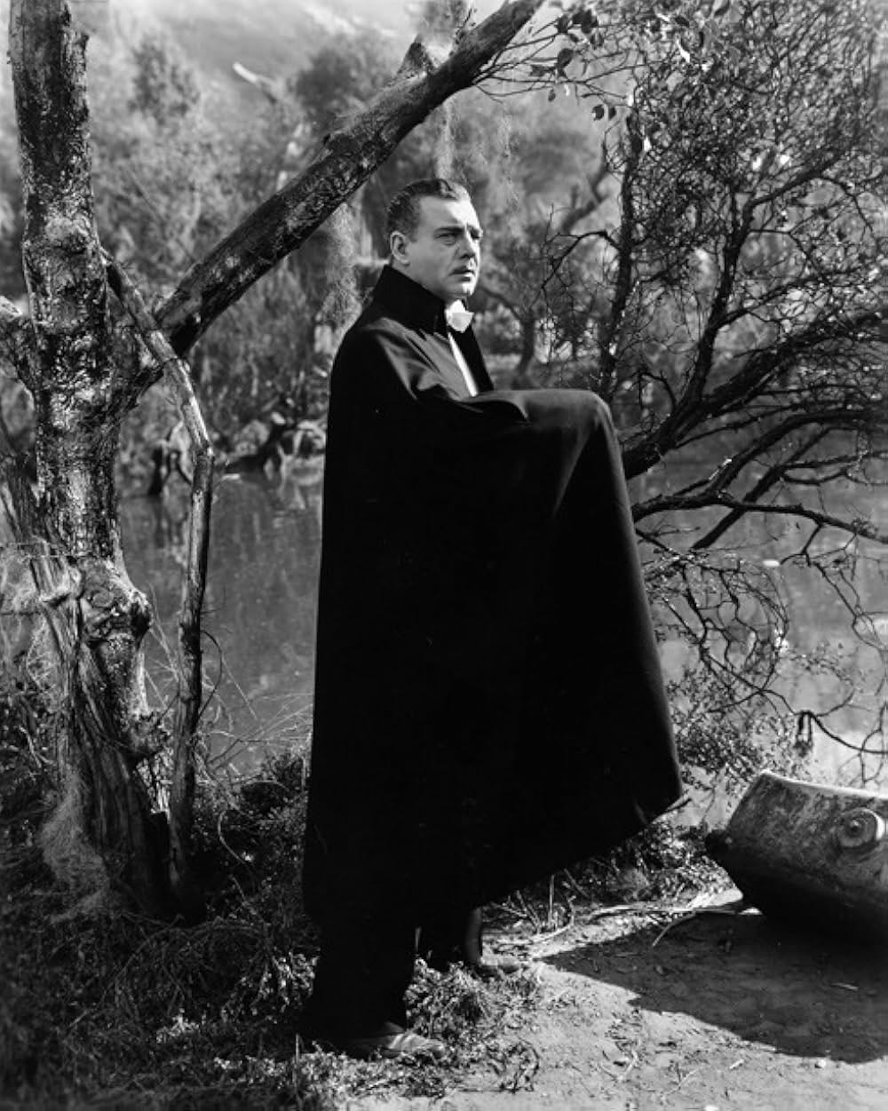 夜の悪魔の画像