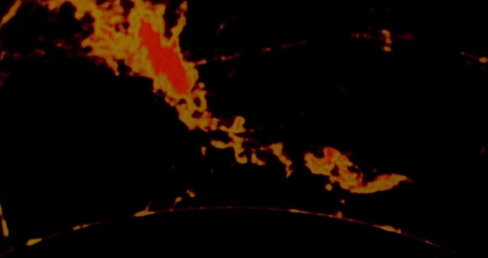 溶解人間の画像