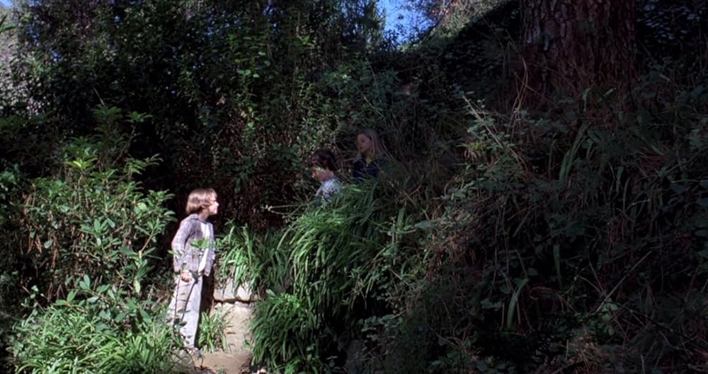 溶解人間の画像