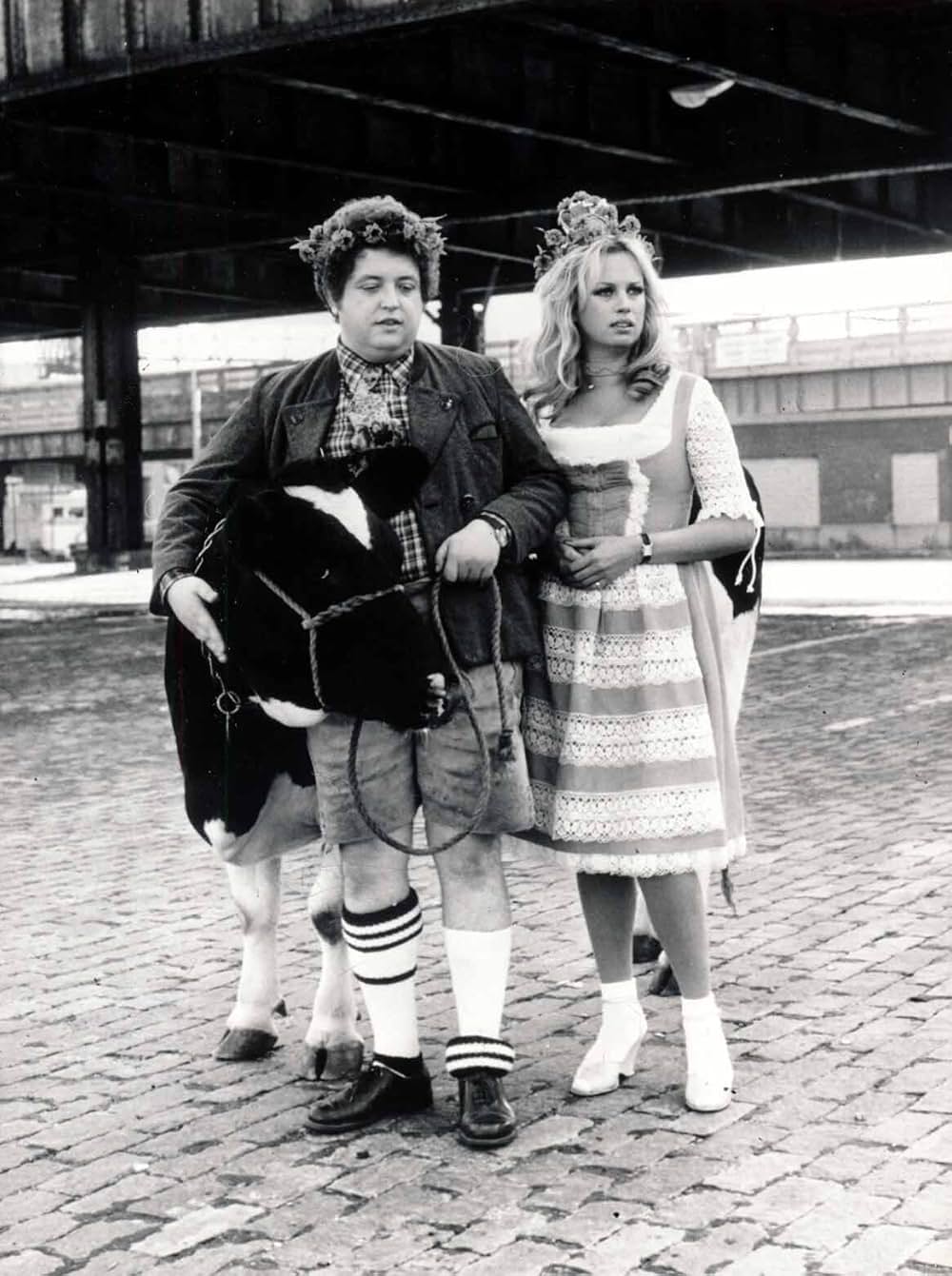 燃えつきた夢の画像