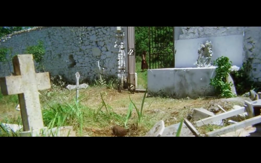 マッキラーの画像