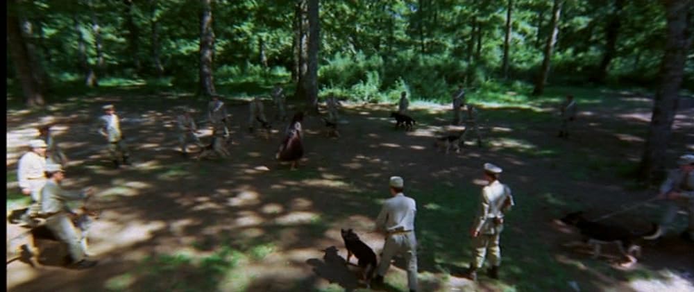 マッキラーの画像