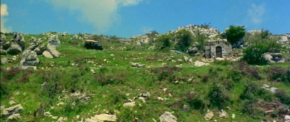 マッキラーの画像