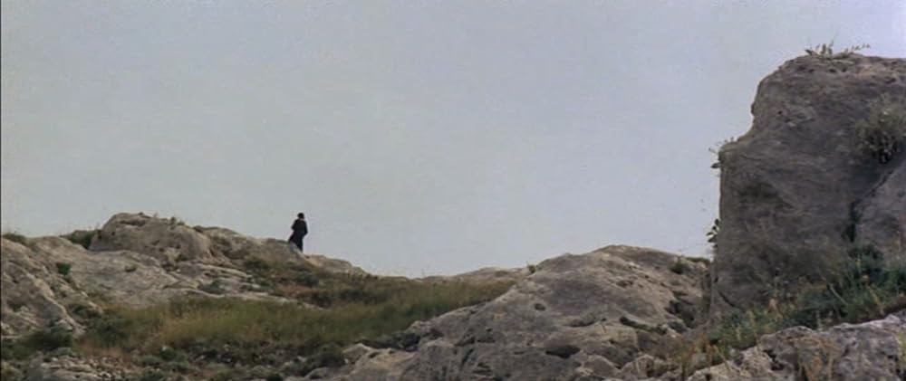 マッキラーの画像