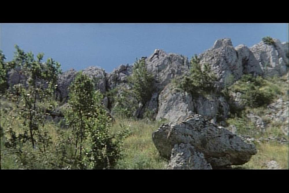 マッキラーの画像