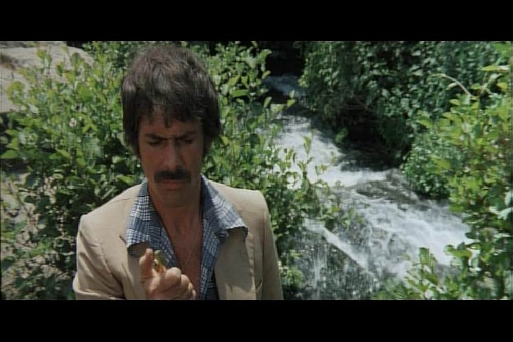 マッキラーの画像