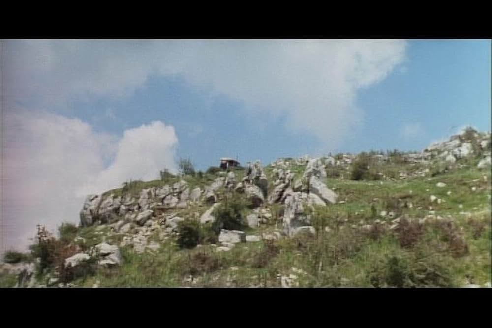 マッキラーの画像