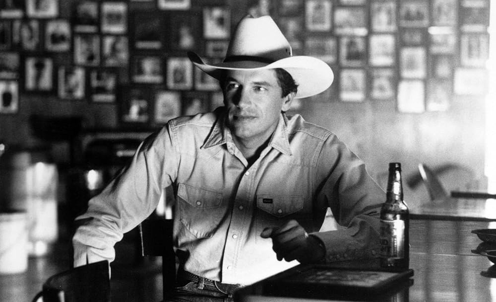 ピュア・カントリーの画像