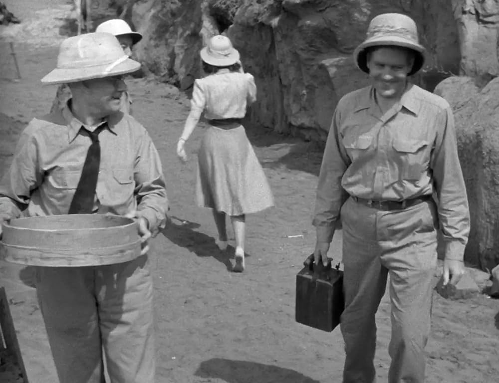 ミイラの復活の画像