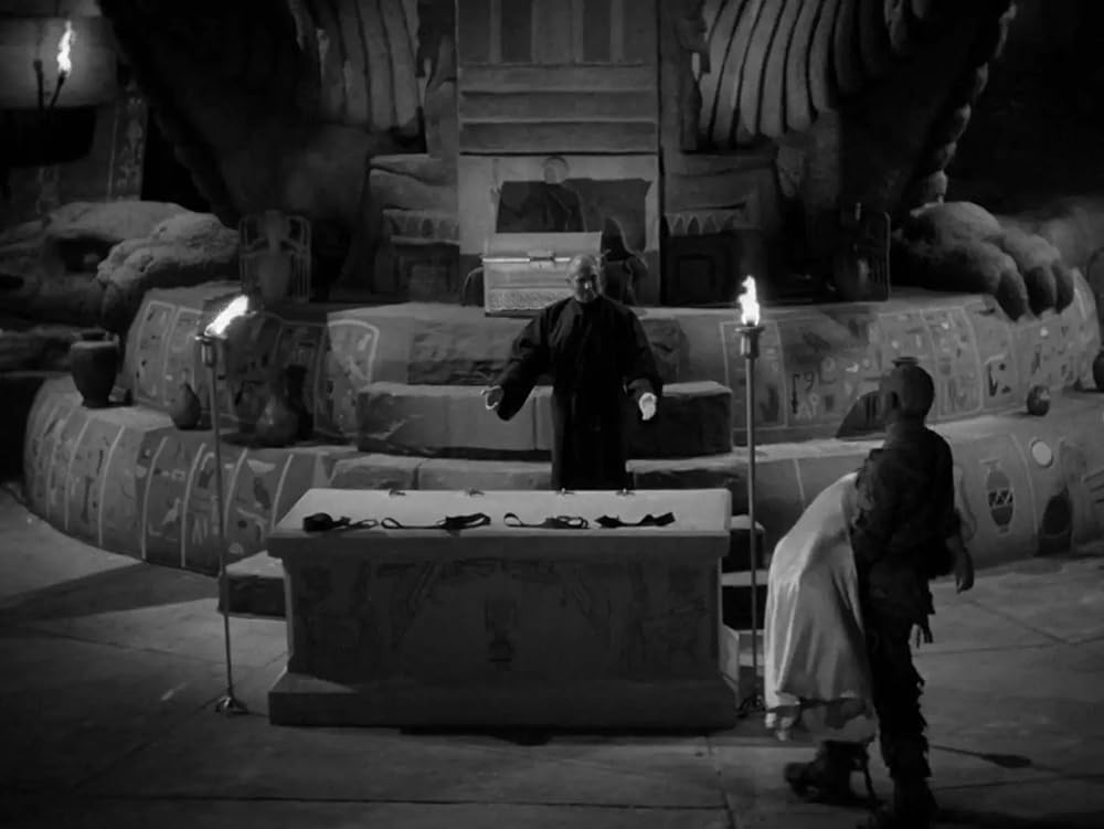 ミイラの復活の画像