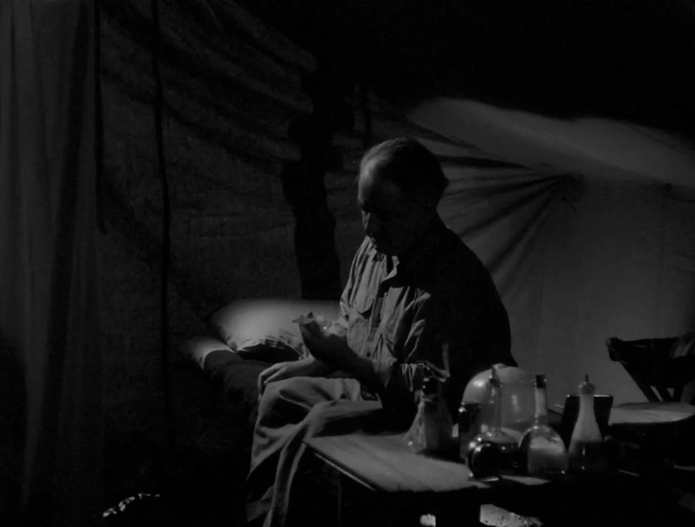 ミイラの復活の画像