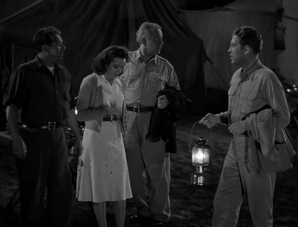 ミイラの復活の画像