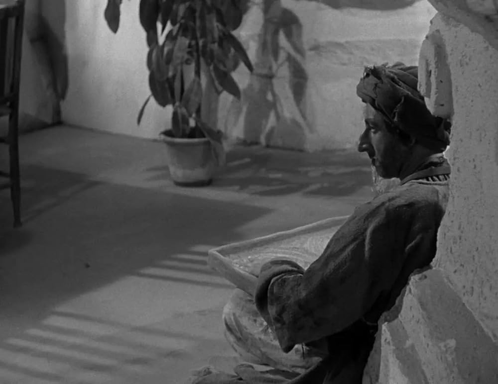 ミイラの復活の画像