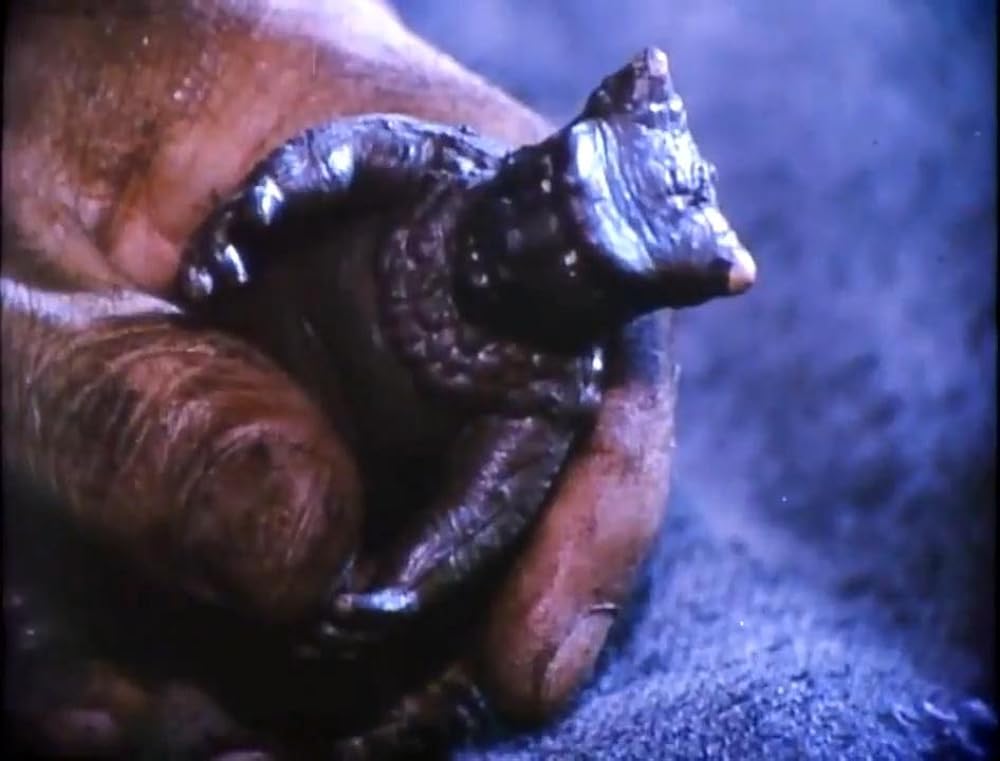 プルガサリ 伝説の大怪獣の画像