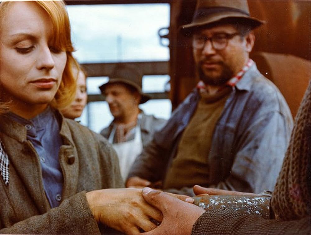 つながれたヒバリの画像