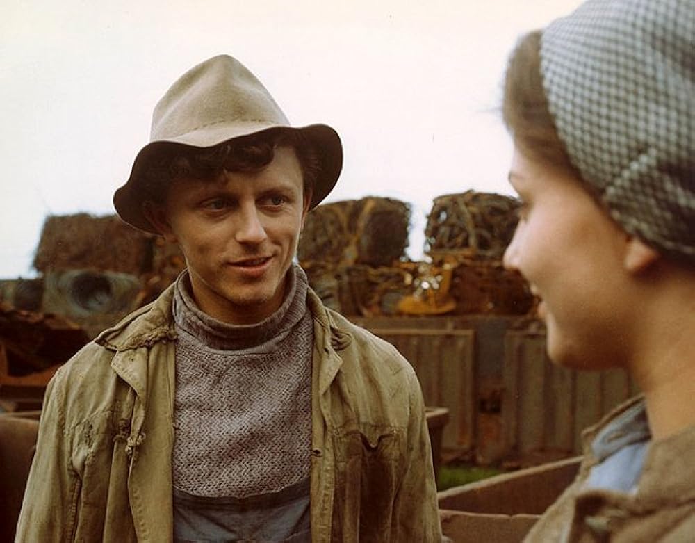 つながれたヒバリの画像