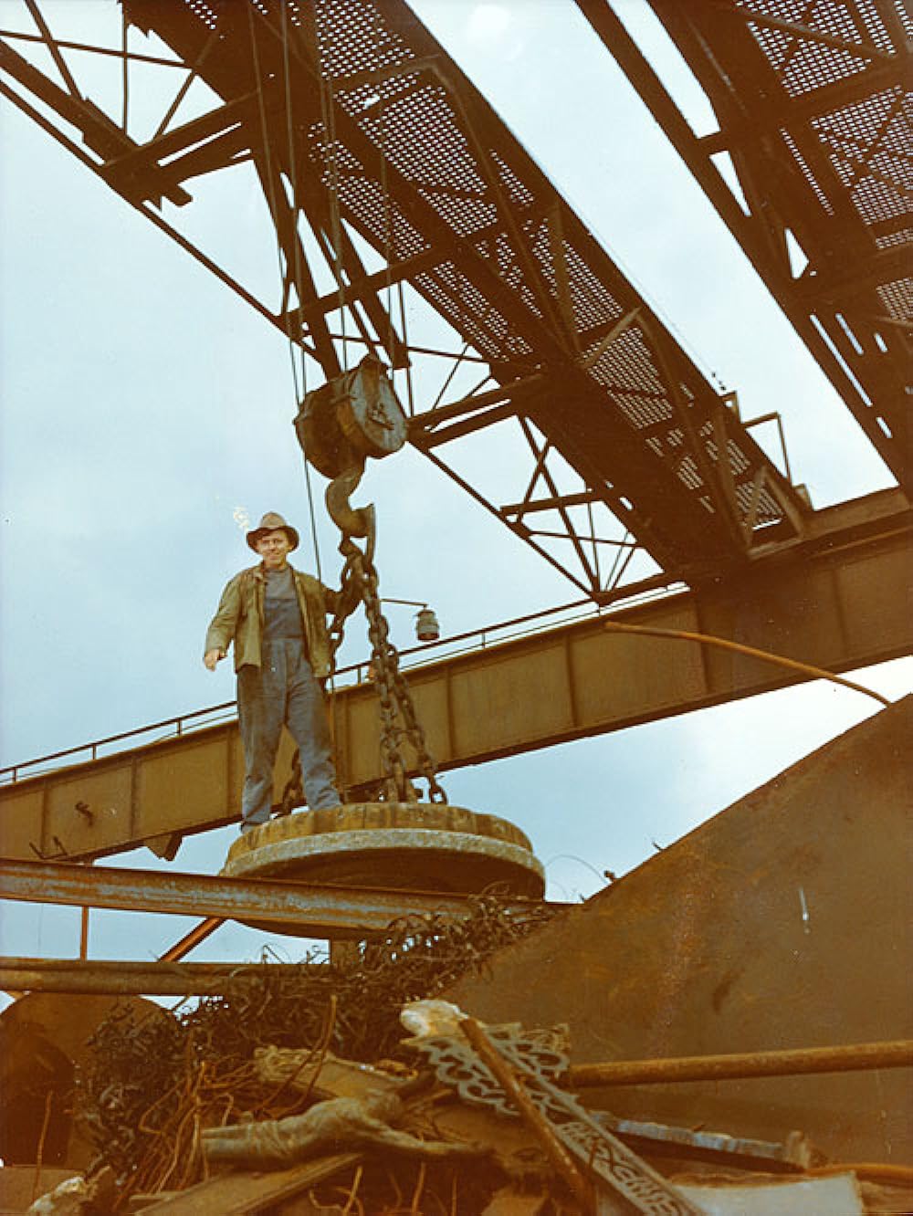 つながれたヒバリの画像