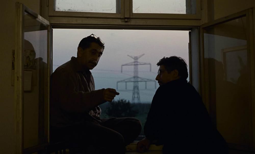 つながれたヒバリの画像