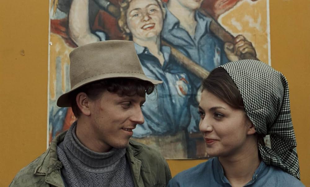 つながれたヒバリの画像