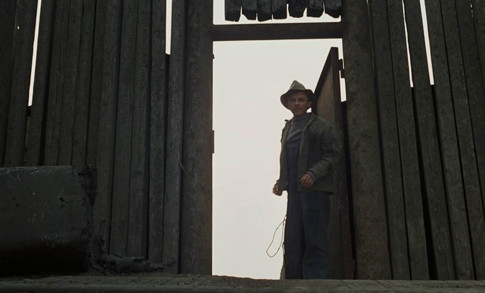 つながれたヒバリの画像