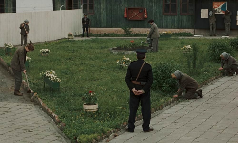 つながれたヒバリの画像