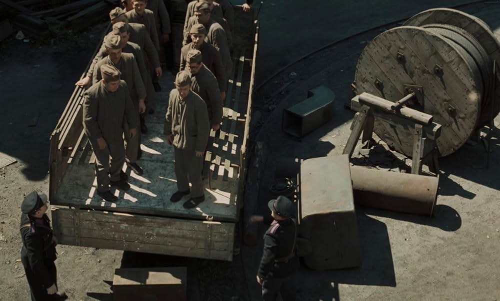 つながれたヒバリの画像