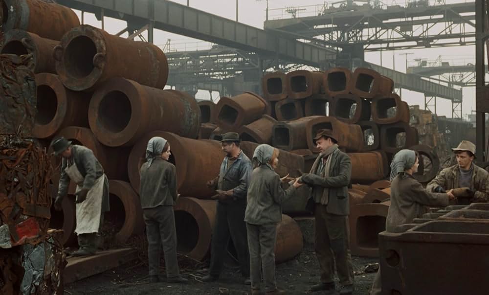 つながれたヒバリの画像