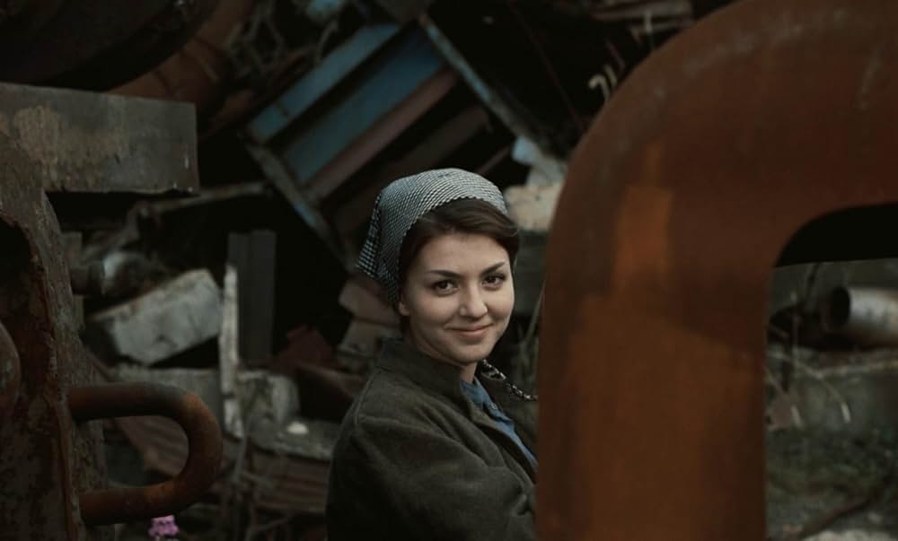 つながれたヒバリの画像